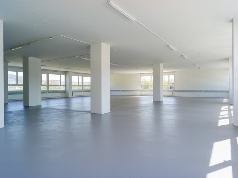 Gewerbe mit Aussicht in Unterengstringen (4)