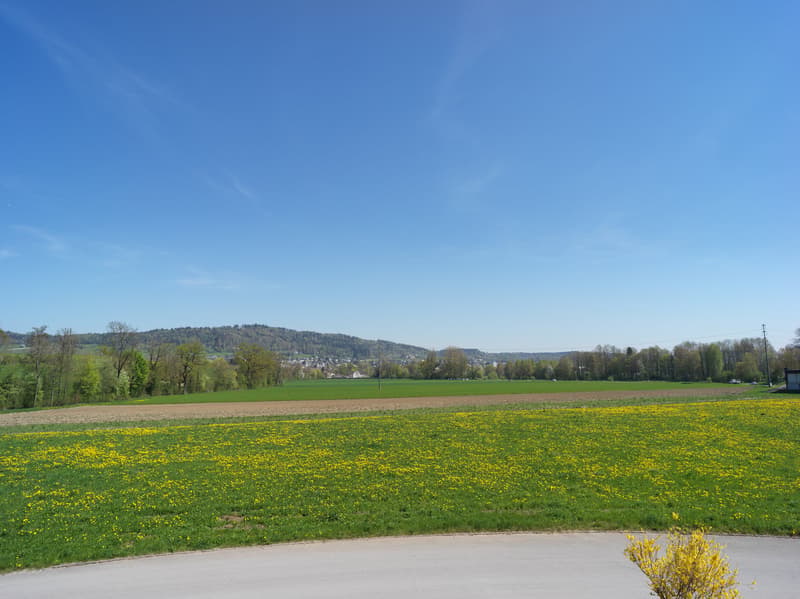 Aussicht Richtung Kloster Fahr