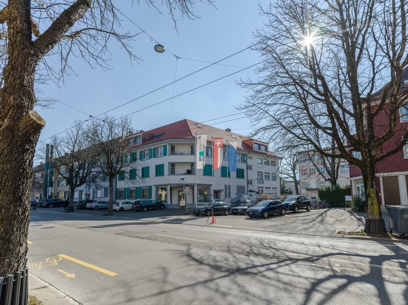 Erstvermietung attraktiver Dachwohnung in Zürich-Altstetten (11)