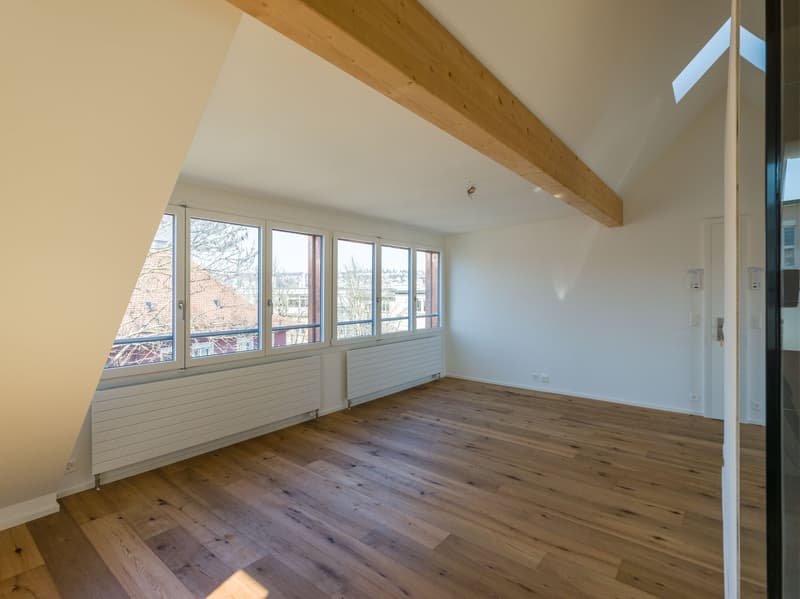 Erstvermietung attraktiver Dachwohnung in Zürich-Altstetten (6)