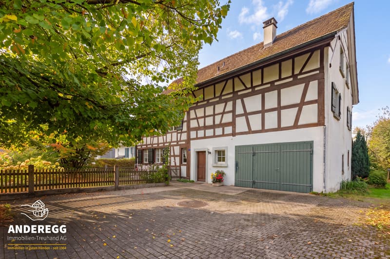 Riegelhaus mit 2'156 m² Grundstück Projektstudie für zusätzliche Woh (3)