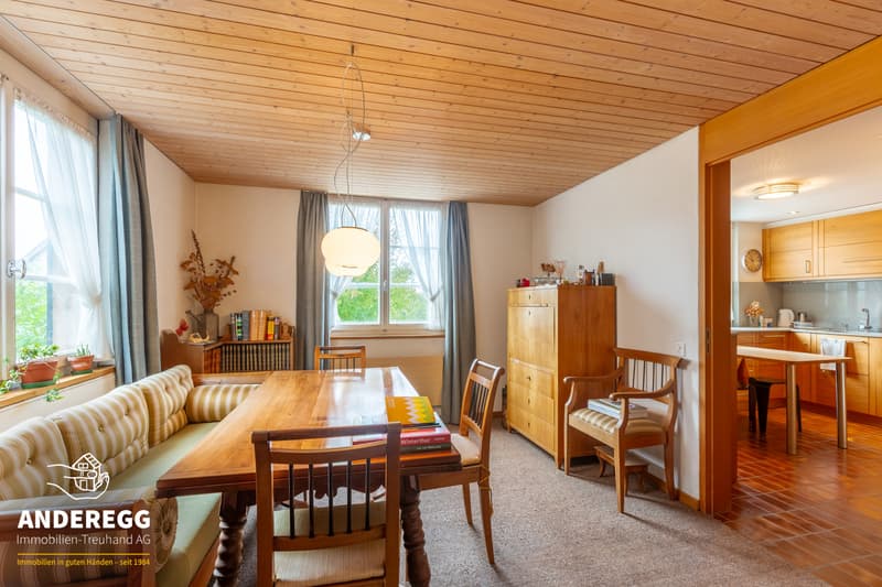 Riegelhaus mit 2'156 m² Grundstück Projektstudie für zusätzliche Woh (8)