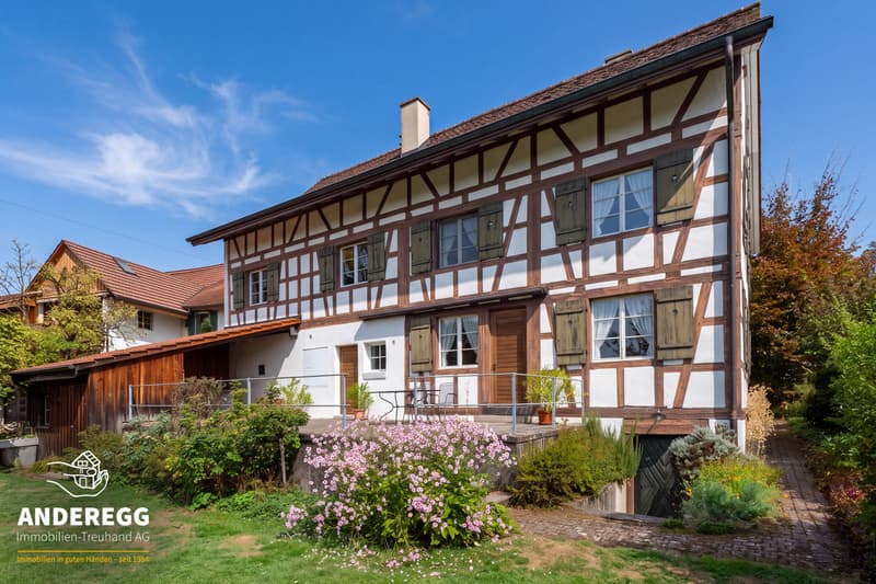 Riegelhaus mit 2'156 m² Grundstück Projektstudie für zusätzliche Woh (2)