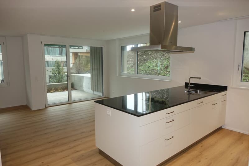 Appartement lumineux et moderne de 3,5 pièces dans un excellent emplacement (2)