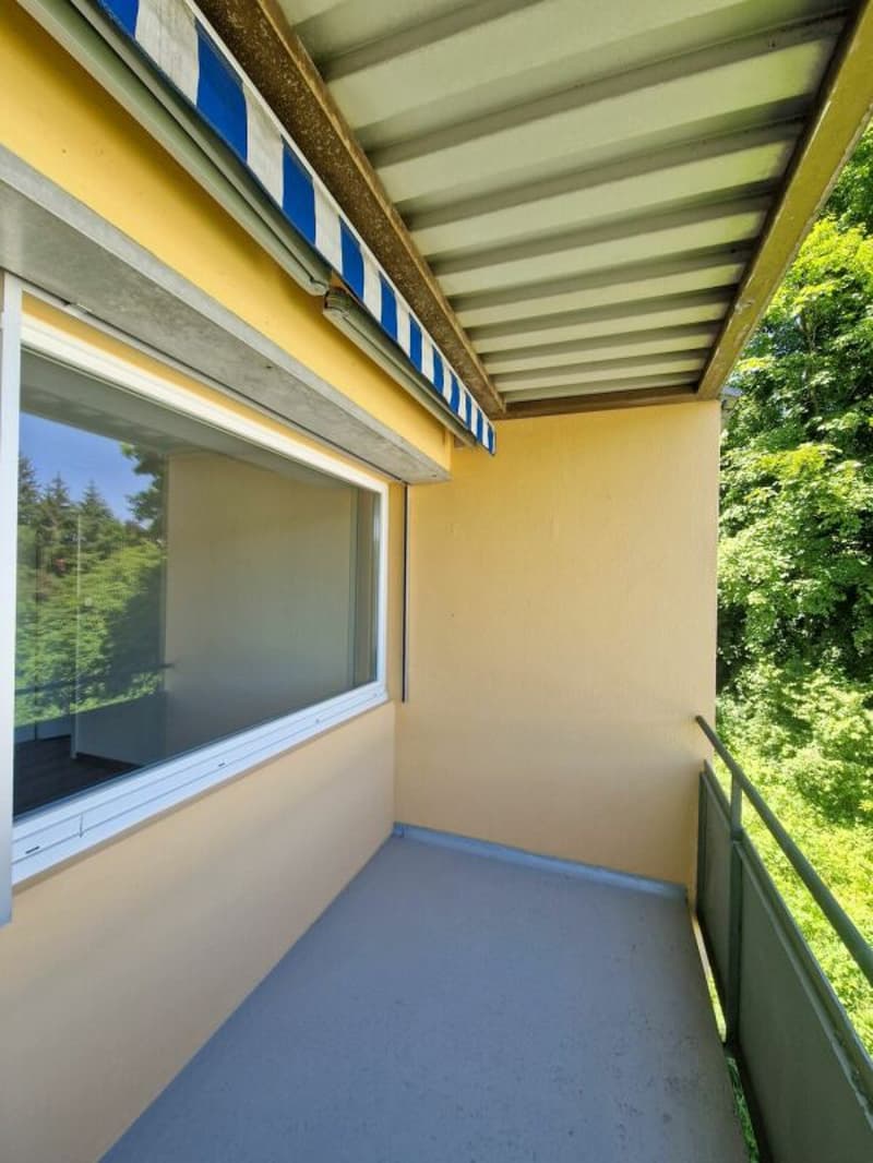Affordable 4.5-room apartment in a quiet residential area - in the basement 14c, 9012 St. Gallen (9)