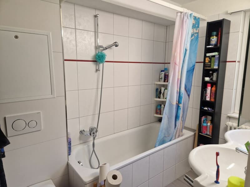 Affordable 4.5-room apartment in a quiet residential area - in the basement 14c, 9012 St. Gallen (3)