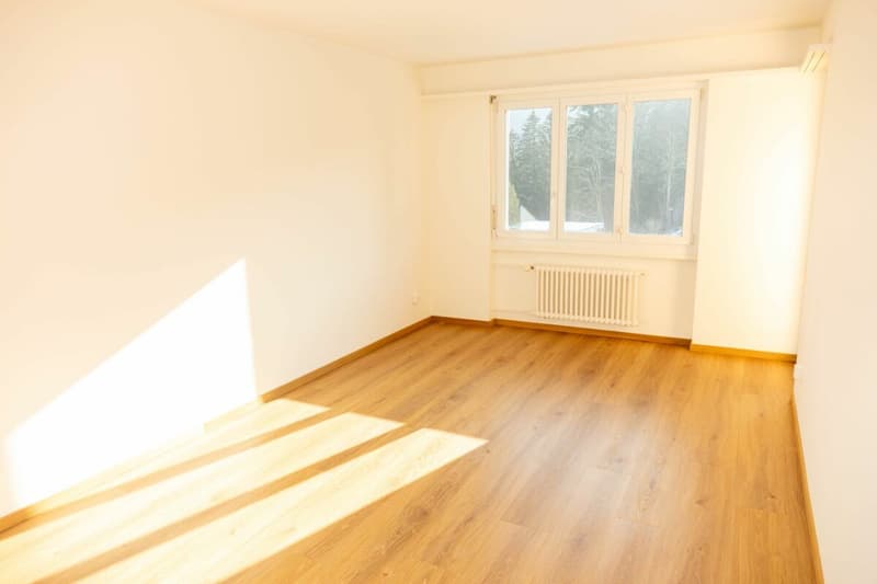 Affordable 4.5-room apartment in a quiet residential area - in the basement 14c, 9012 St. Gallen (6)