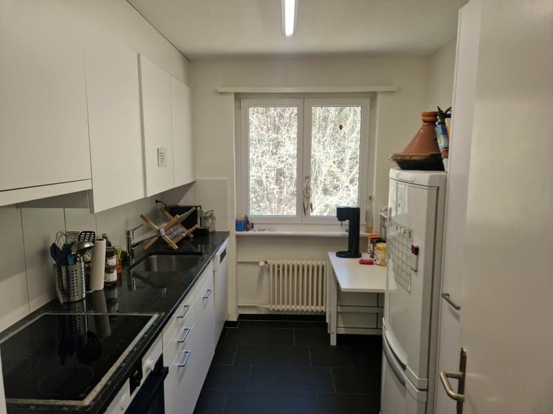 Affordable 4.5-room apartment in a quiet residential area - in the basement 14c, 9012 St. Gallen (1)