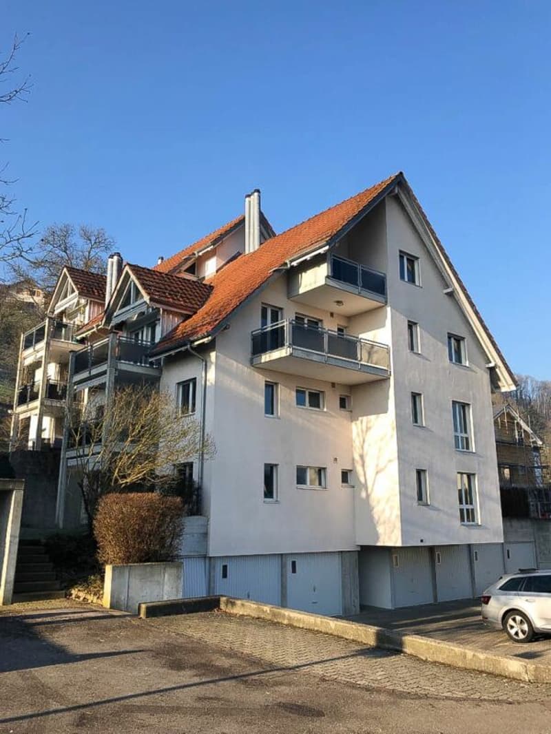 sonnige, grosszügige 4.5-Zimmerwohnung (1)