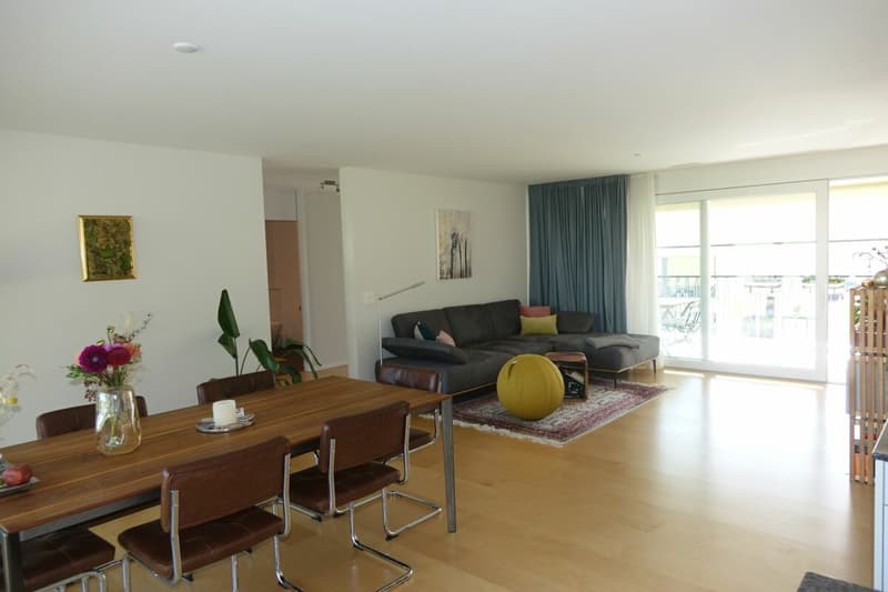 Modern apartment with high construction standard (4)