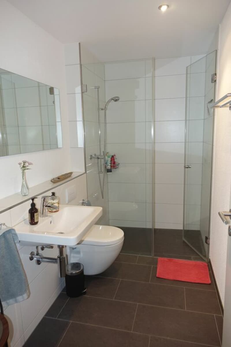 Modern apartment with high construction standard (5)