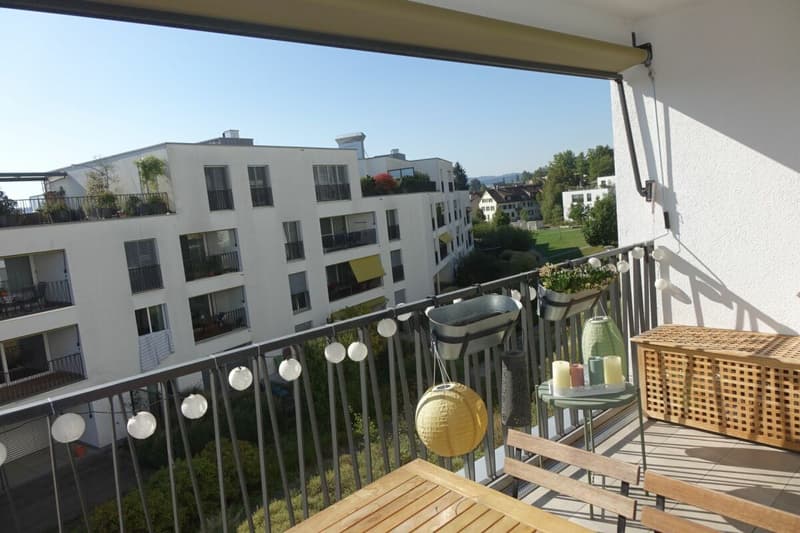 Modern apartment with high construction standard (7)