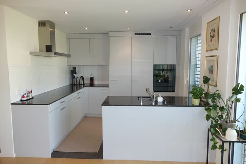 Modern apartment with high construction standard (2)