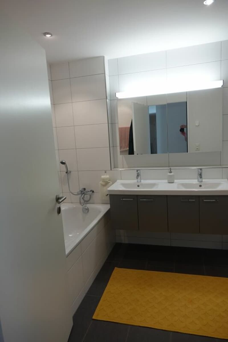 Modern apartment with high construction standard (6)