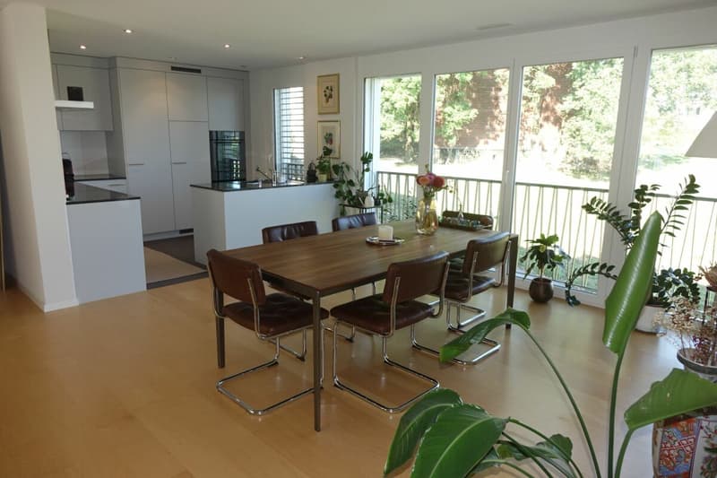 Modern apartment with high construction standard (3)