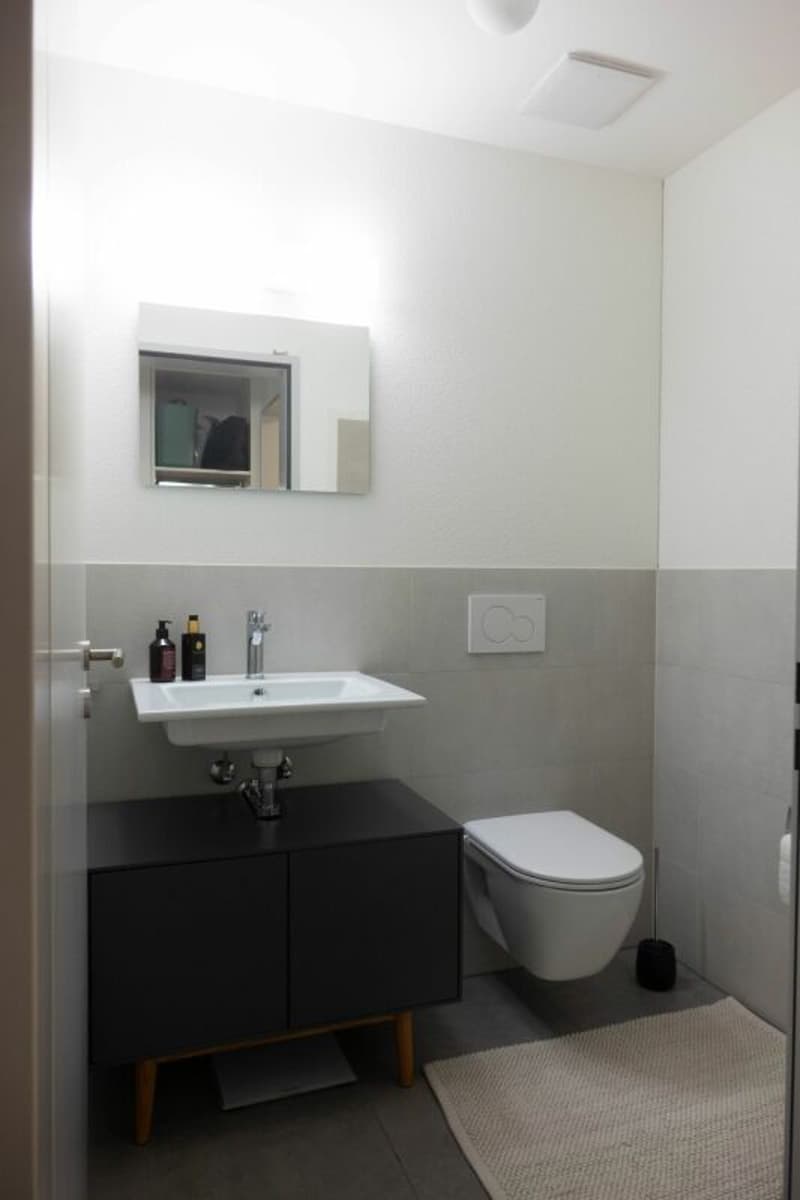 appartement-maisonnette moderne et charmant de 2,5 pièces (6)