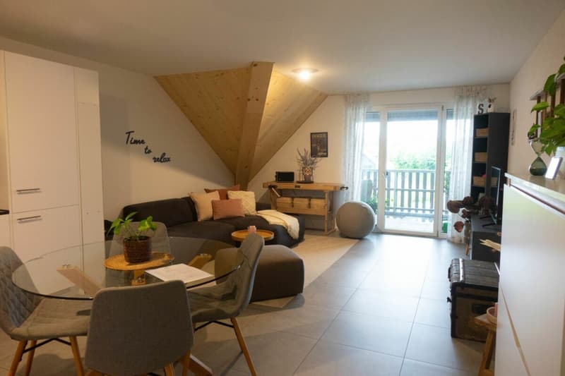 appartement-maisonnette moderne et charmant de 2,5 pièces (3)