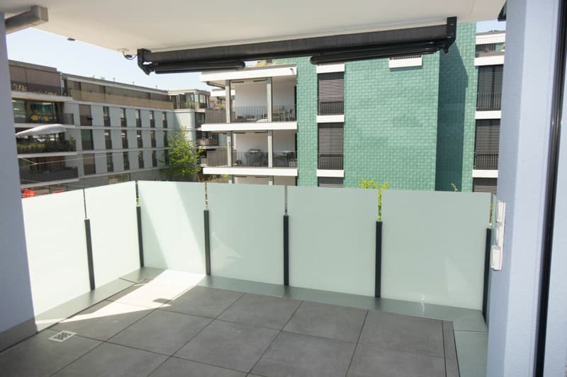 Primo affitto di un appartamento moderno in una buona posizione urbana (7)