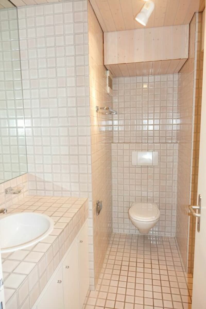 charmante Dachwohnung mit mehreren Balkonen (11)
