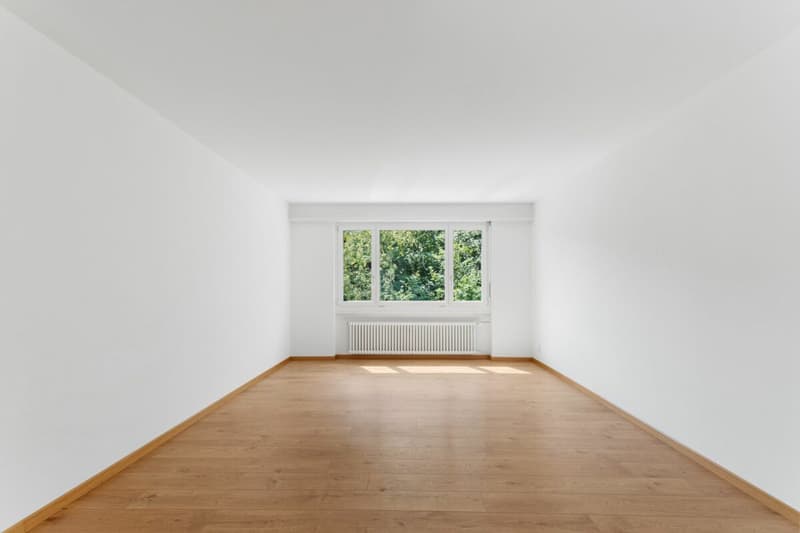 Preiswerte 4.5-Zimmerwohnung - ruhig gelegen und im Grünen (7)