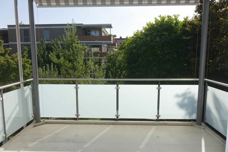 frisch sanierte Wohnung mit grossem Balkon (6)