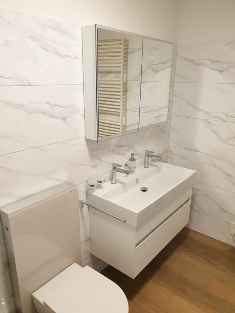 frisch sanierte Wohnung mit grossem Balkon (8)