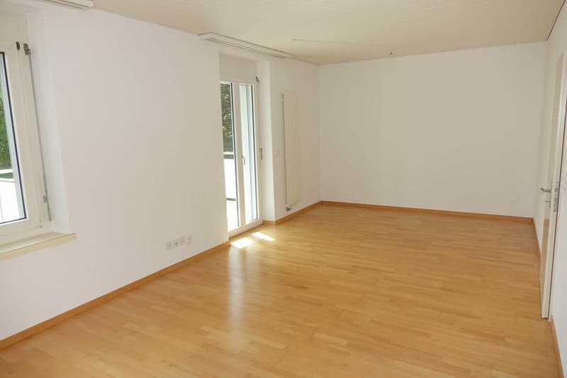frisch sanierte Wohnung mit grossem Balkon (2)