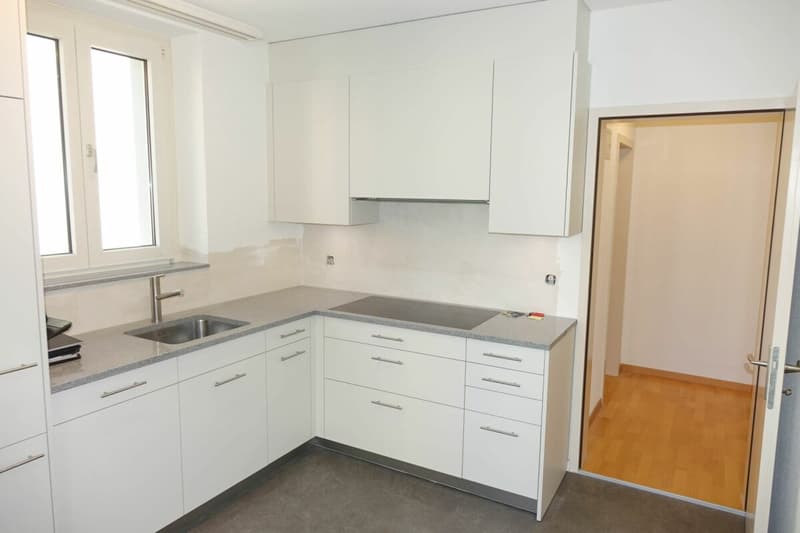 frisch sanierte Wohnung mit grossem Balkon (3)