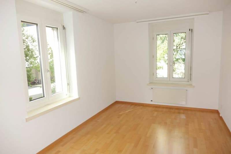 frisch sanierte Wohnung mit grossem Balkon (4)