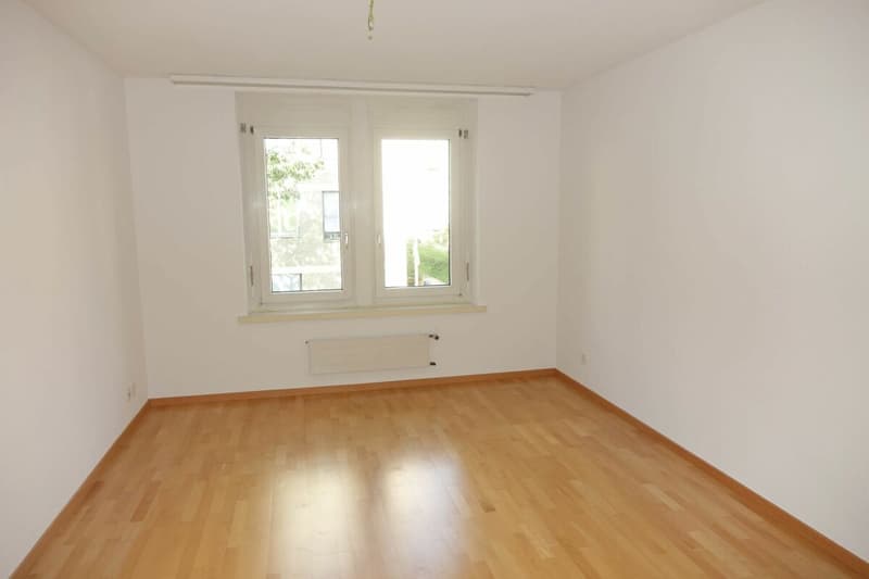 frisch sanierte Wohnung mit grossem Balkon (5)