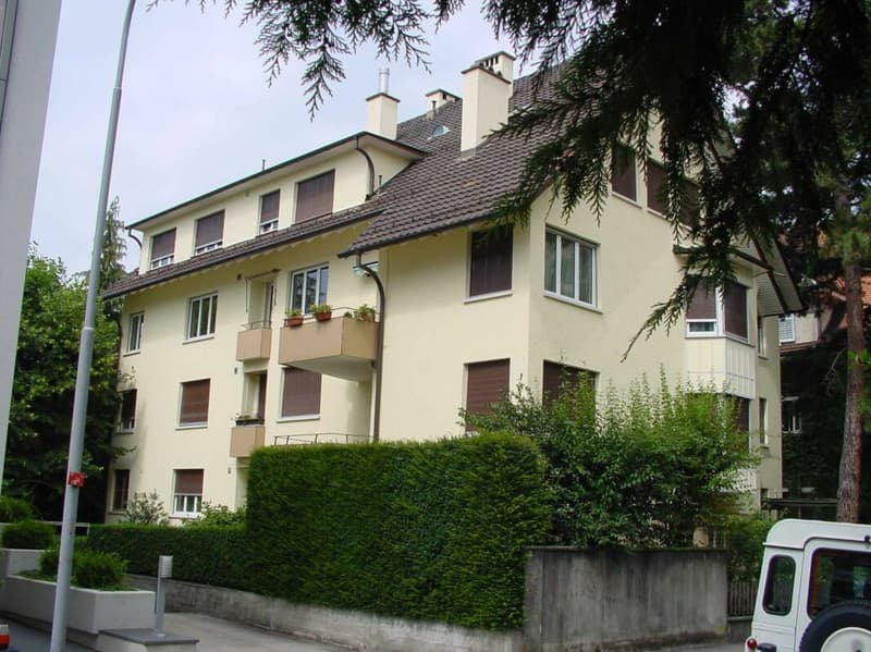 renovierte Wohnung mit Balkon an ruhiger Lage (1)