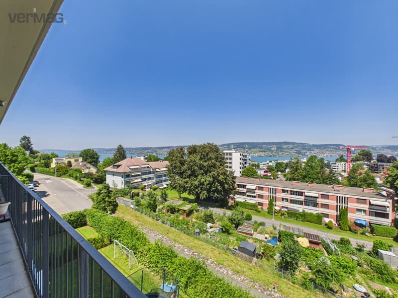 Ausblick Richtung Zürich