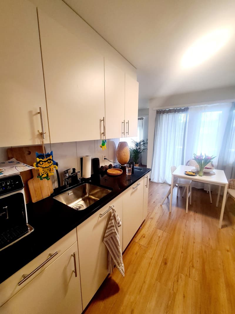 Appartamento 4.5 locali adatto alle famiglie con balcone a Egnach (2)