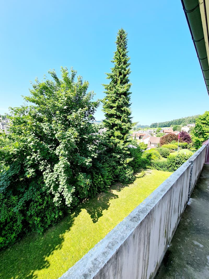 The image shows a lush, green landscape with a variety of trees and vegetation. There is a tall, coniferous tree in the center of the frame, surrounded by other deciduous trees and shrubs. The ground is covered in grass, and the scene appears to overlook