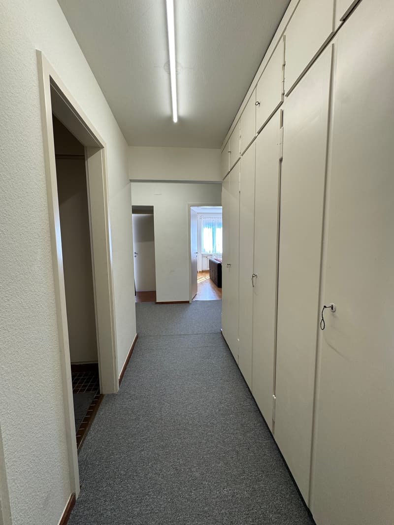 4-Bedroom Apartment with Balcony in St. Gallen (4)