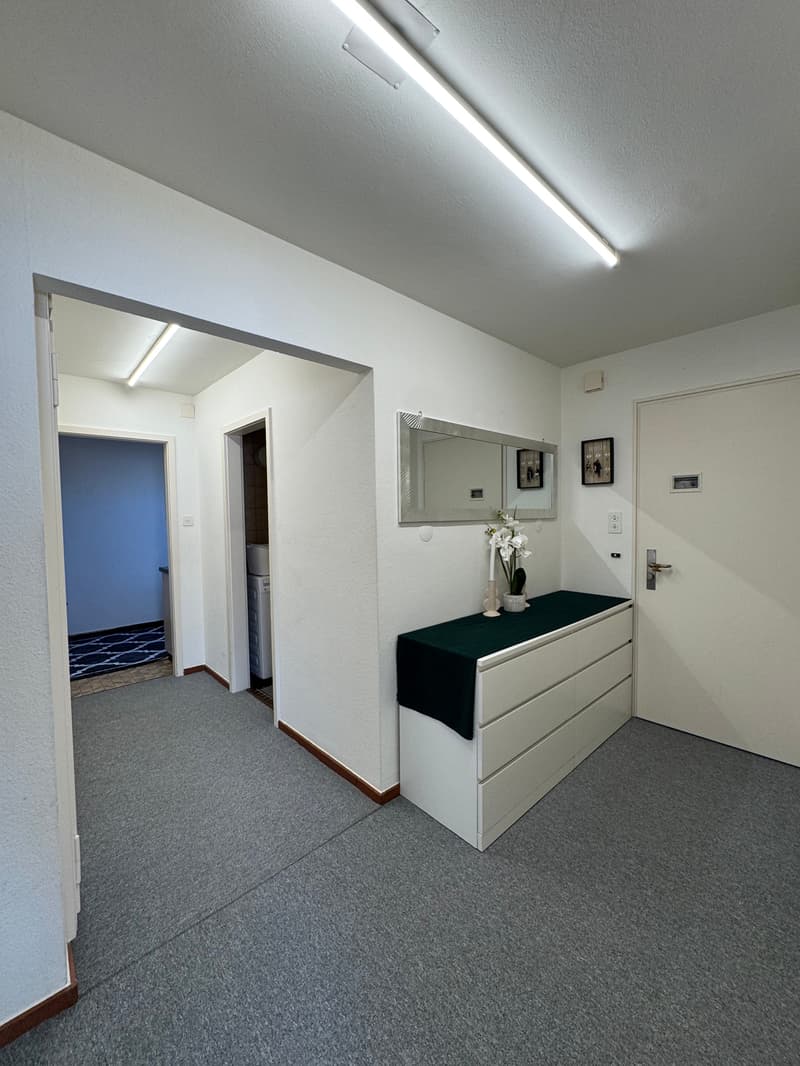 4-Bedroom Apartment with Balcony in St. Gallen (5)