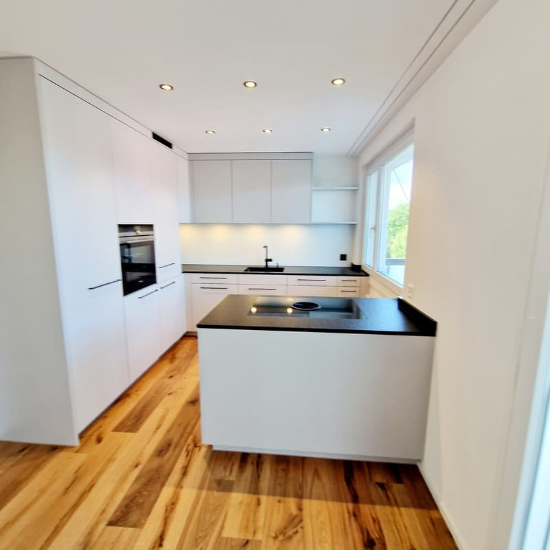 Modern kitchen with white cabinetry, wooden floor, under-mount sink, island, large oven