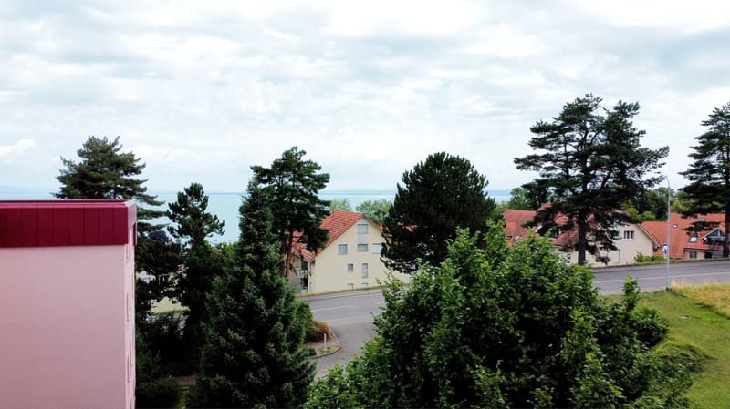 Aerial view overlooking multiple houses with a road, surrounded by trees and grass, overlooking a lake and cloudy sky