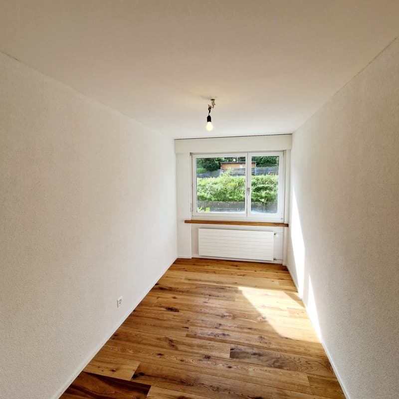 Empty room, white walls, wooden floor, window with view of greenery, ceiling lamp