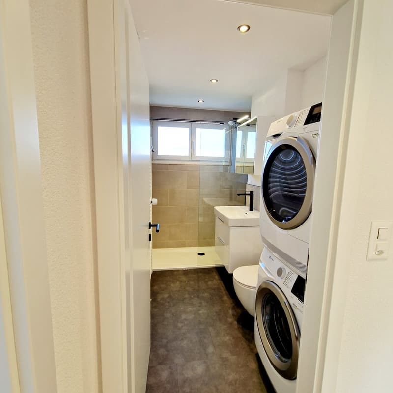 Bathroom: sink, shower, toilet, laundry appliances