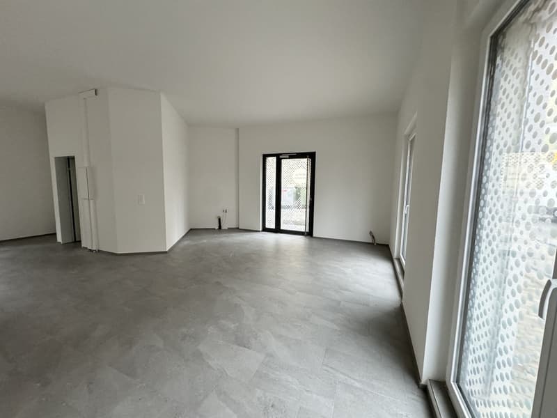 empty room, white walls, gray floor, glass doors, glass windows