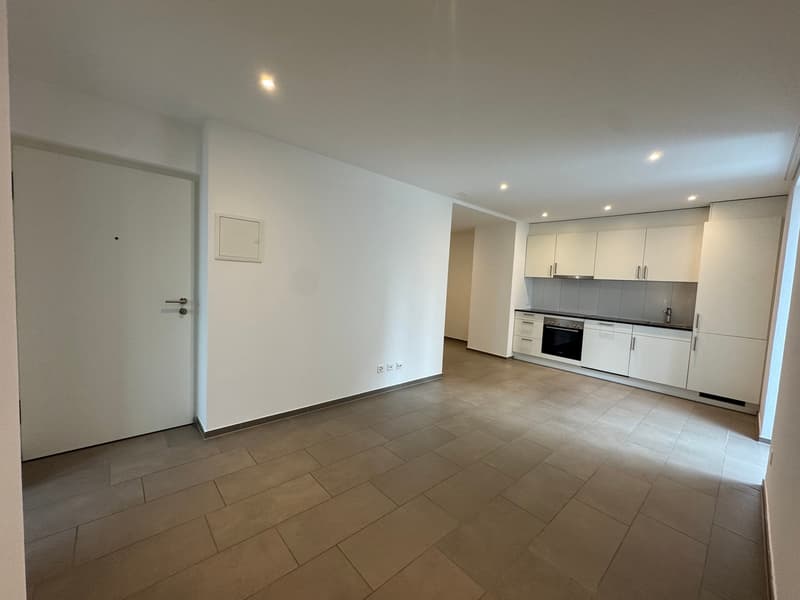 Modern 1.5-room apartment in St. Gallen (1)