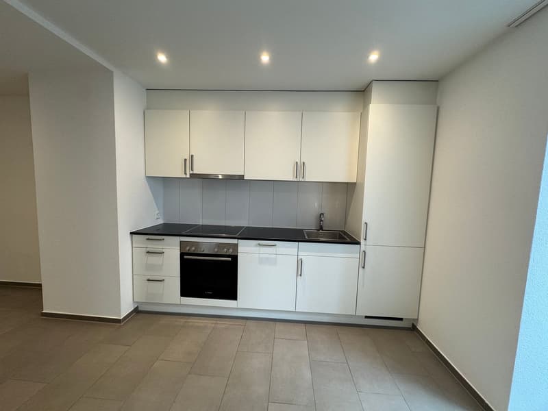 Modern 1.5-room apartment in St. Gallen (3)