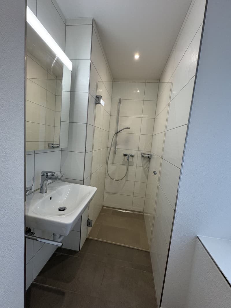Modern 1.5-room apartment in St. Gallen (5)