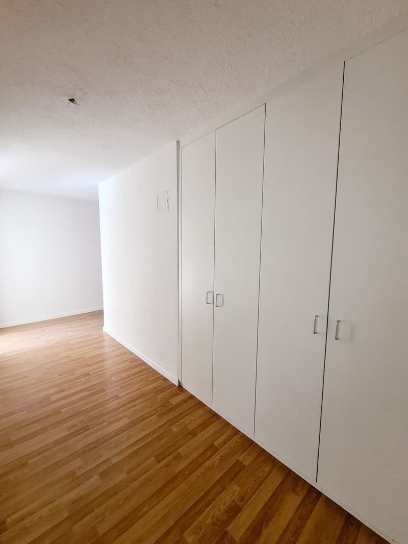 Spacious 3.5 room apartment with balcony (9)