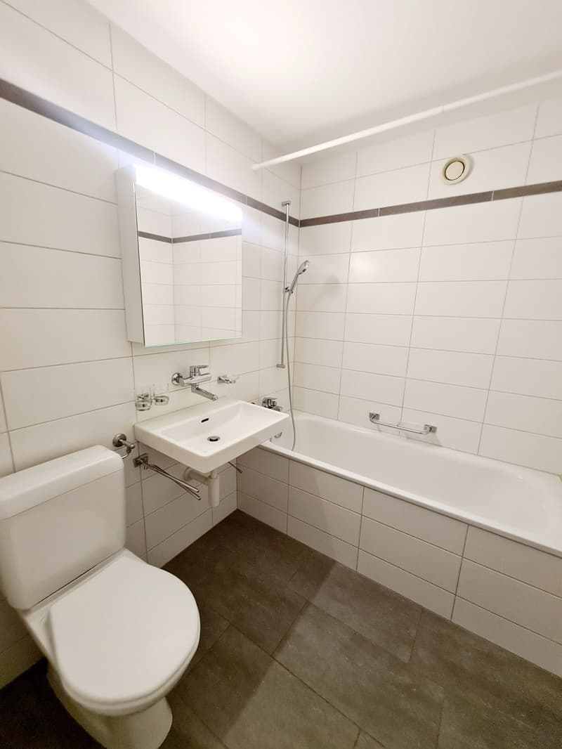 Spacious 3.5 room apartment with balcony (8)