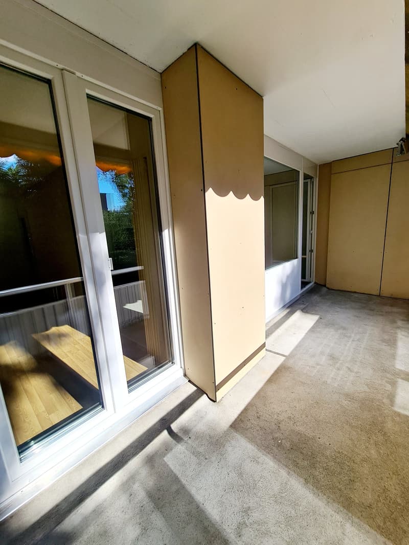 Spacious 3.5 room apartment with balcony (7)