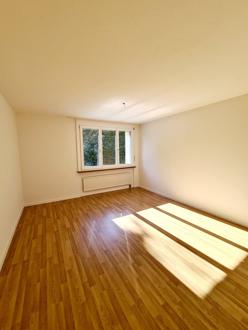 Spacious 3.5 room apartment with balcony (10)