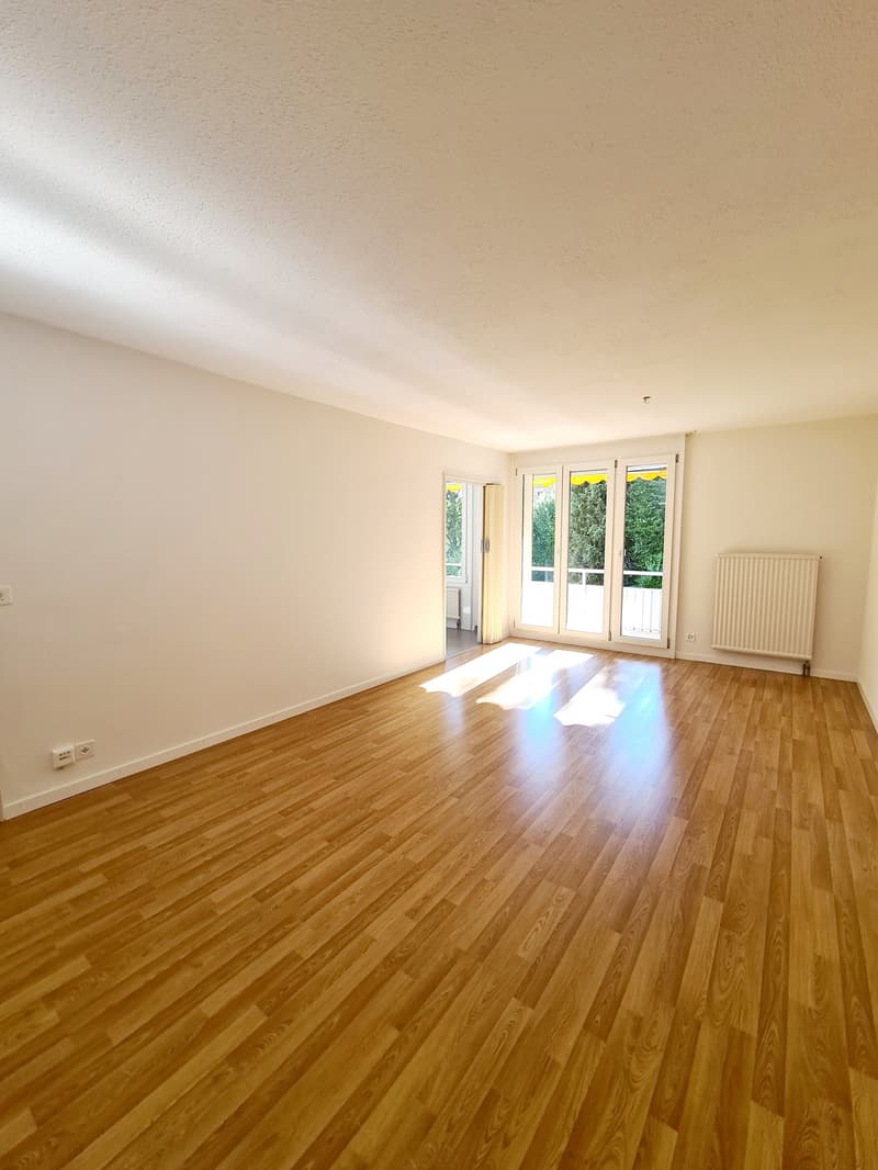 Spacious 3.5 room apartment with balcony (5)