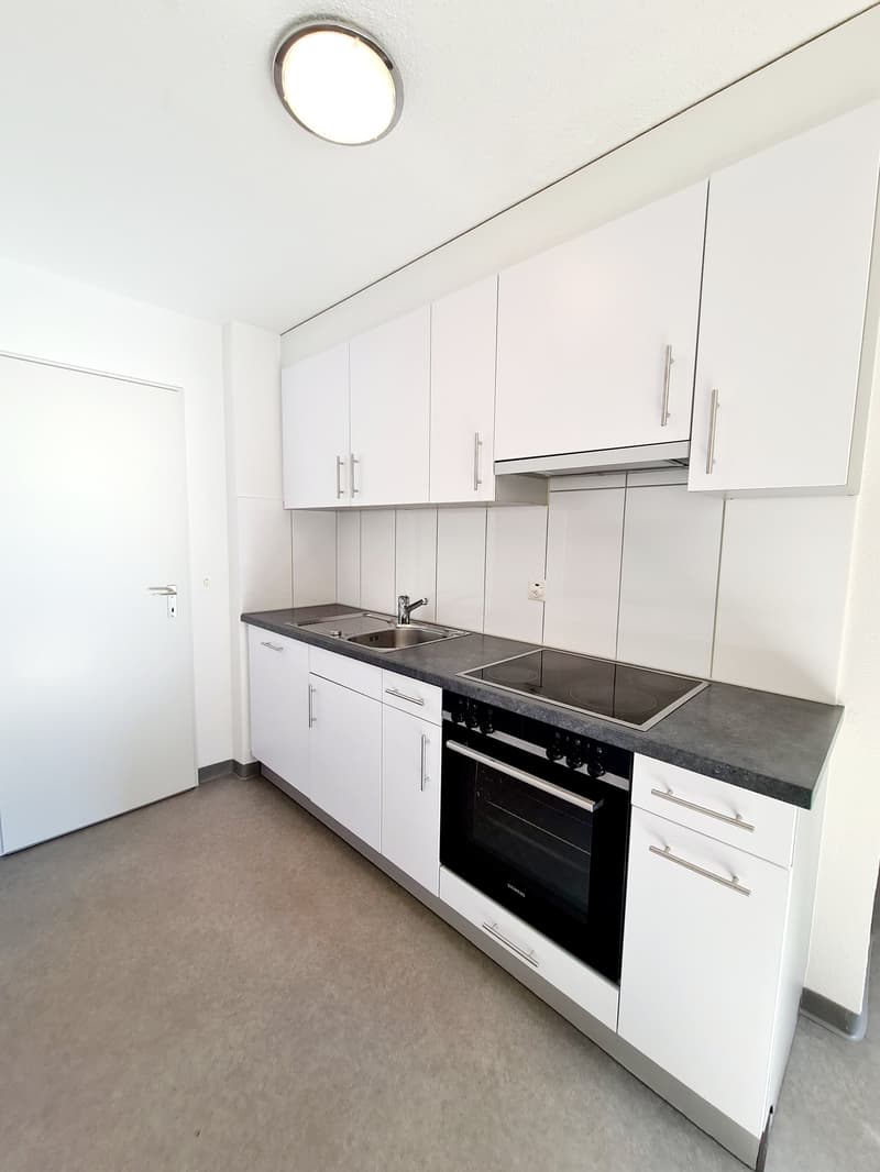 Spacious 3.5 room apartment with balcony (3)